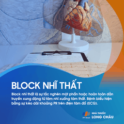 Block nhĩ thất 1