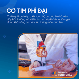 Cơ tim phì đại 1