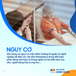 Nhiễm nấm Histoplasma 5