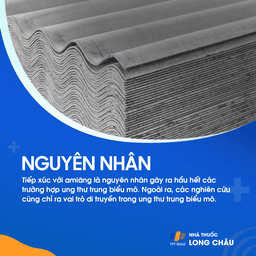 U trung biểu mô 2