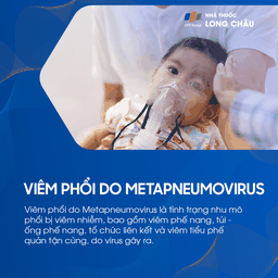 Viêm phổi do Metapneumovirus 1