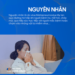 Viêm phổi do Metapneumovirus 3