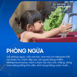 Viêm phổi do Metapneumovirus 8