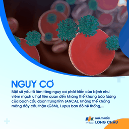 Xuất huyết phế nang lan tỏa 4