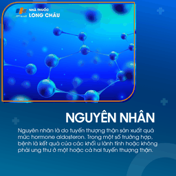 Cường Aldosteron tiên phát 3