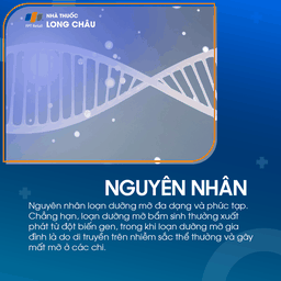 Loạn dưỡng mỡ 2