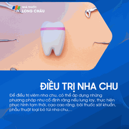 Bệnh nướu và nha chu 8