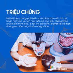 Hội chứng mắt mèo 2