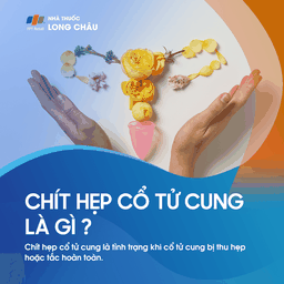 Chít hẹp cổ tử cung 1