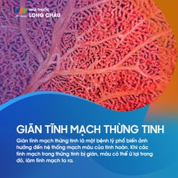 Giãn tĩnh mạch thừng tinh 1