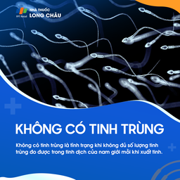 Không có tinh trùng 1