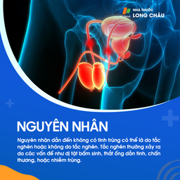 Không có tinh trùng 3