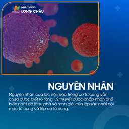 Lạc nội mạc trong cơ tử cung 3