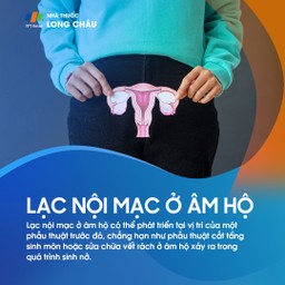 Lạc nội mạc ở âm hộ 1