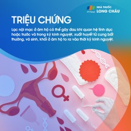 Lạc nội mạc ở âm hộ 2