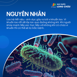 Lao hệ tiết niệu sinh dục 3