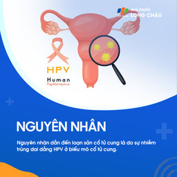 Loạn sản cổ tử cung 3