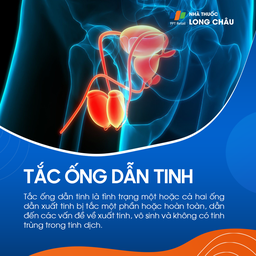 Tắc ống dẫn tinh 1