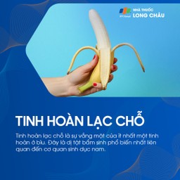 Tinh hoàn lạc chỗ 1