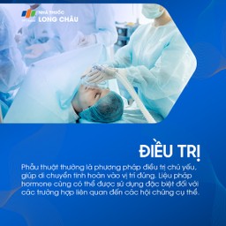 Tinh hoàn lạc chỗ 6