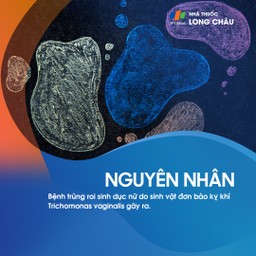 Trùng roi sinh dục nữ 3