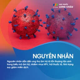 Nguyên nhân gây ung thư âm hộ do nhiễm HPV và các tổn thương tiền ung thư
