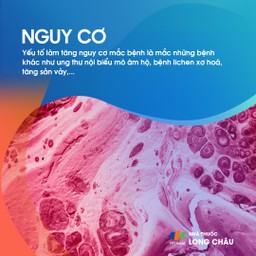 Phụ nữ trung niên và cao tuổi có nguy cơ cao mắc bệnh ung thư âm hộ