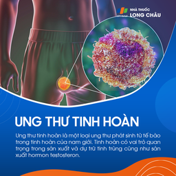 Ung thư tinh hoàn 1