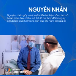 U xơ tuyến tiền liệt 3
