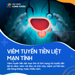 Viêm tuyến tiền liệt mạn tính 1