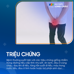 Viêm tuyến tiền liệt cấp tính 2