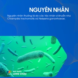 Viêm vùng chậu 3