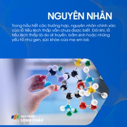 Lỗ tiểu lệch thấp 3