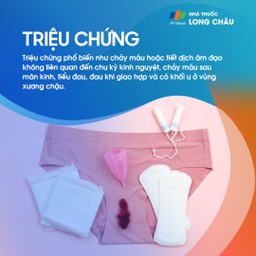 Ung thư nội mạc tử cung 2