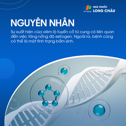 Viêm lộ tuyến cổ tử cung 3