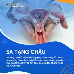 Sa tạng chậu 1