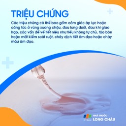 Sa tạng chậu 2