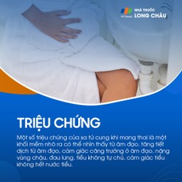 Sa tử cung khi mang thai 2