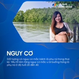 U bì buồng trứng 4