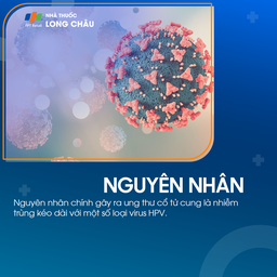 Ung thư cổ tử cung giai đoạn 1 - 3