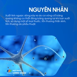 Xuất tinh ngược dòng 3