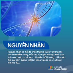 Chậm phát triển tâm thần 4