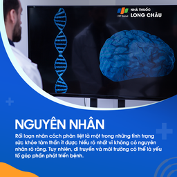 Rối loạn nhân cách phân liệt 3