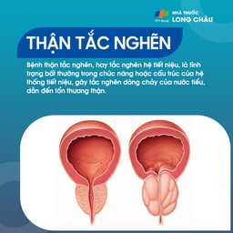 Bệnh thận tắc nghẽn 1