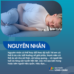 Thận tắc nghẽn 3