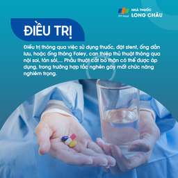 Thận tắc nghẽn 6