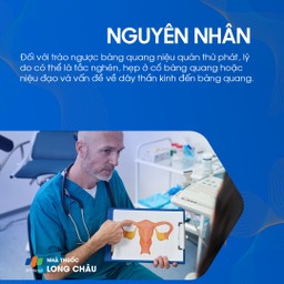 Trào ngược bàng quang niệu quản 4