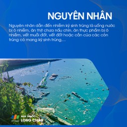 Nhiễm ký sinh trùng 3