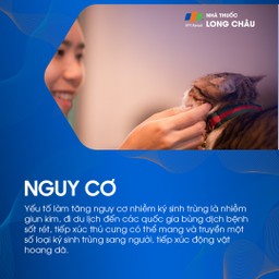 Nhiễm ký sinh trùng 4