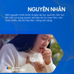 Thoát vị khe hoành 4